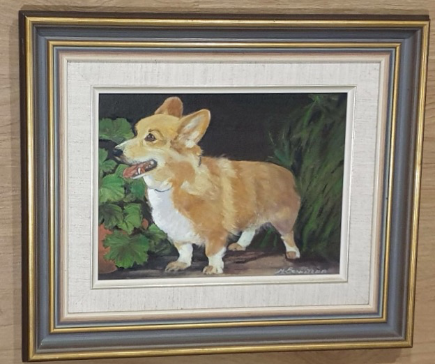 corgi gumtree